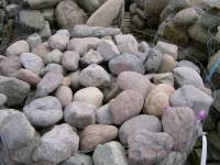 Cheekye River Rock 4 " - 6"