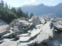 Grizzly Granite Flat Boulders
